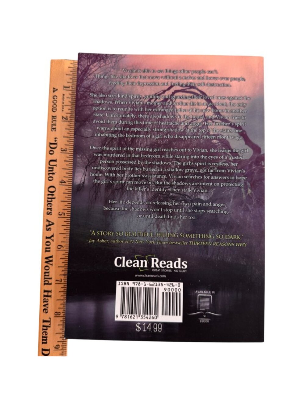 "Living In Shadows" By Jessica Freeburg Signed Paperback 2015 Clean Reads Novel - Picture 4 of 11